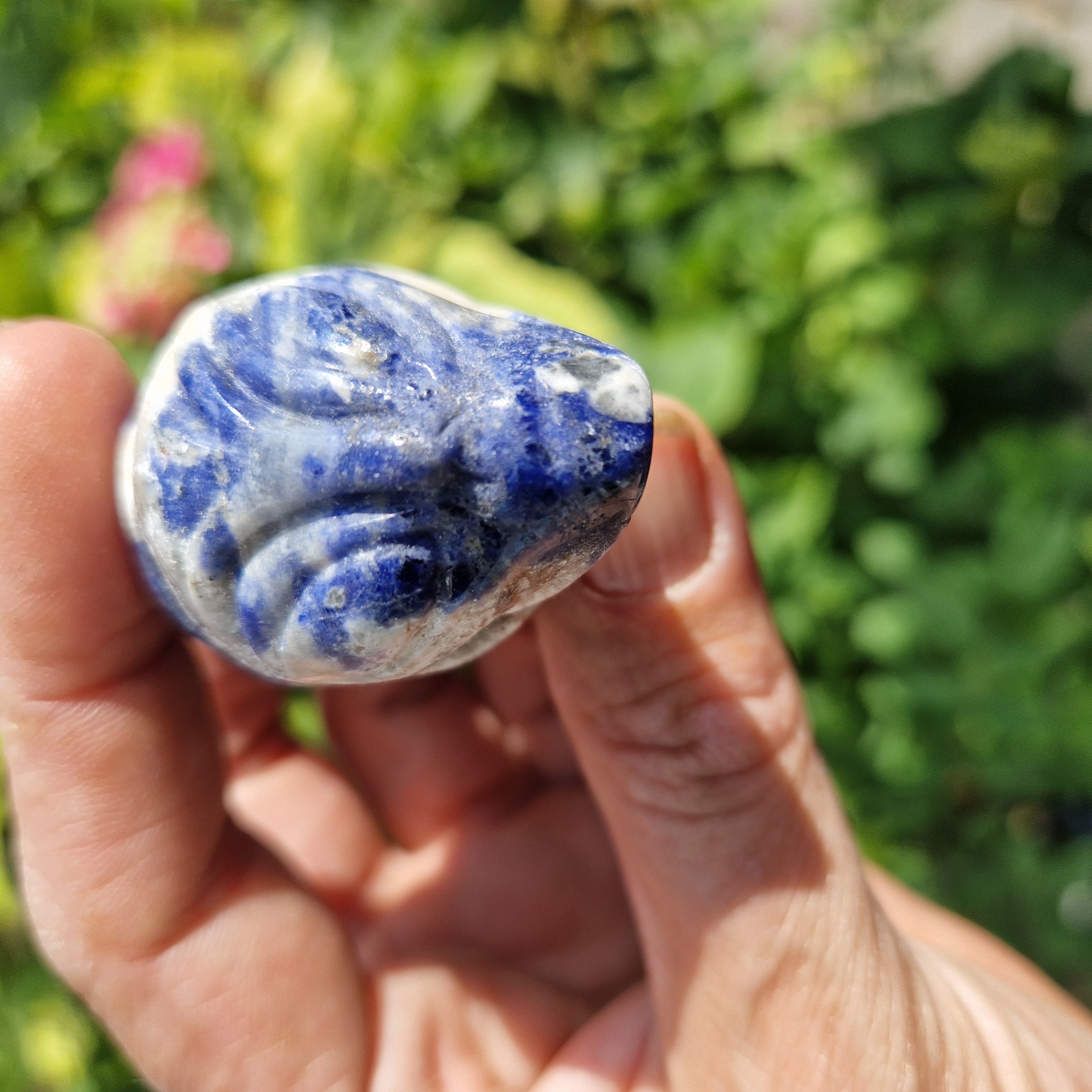 Starbeing Sodaliet