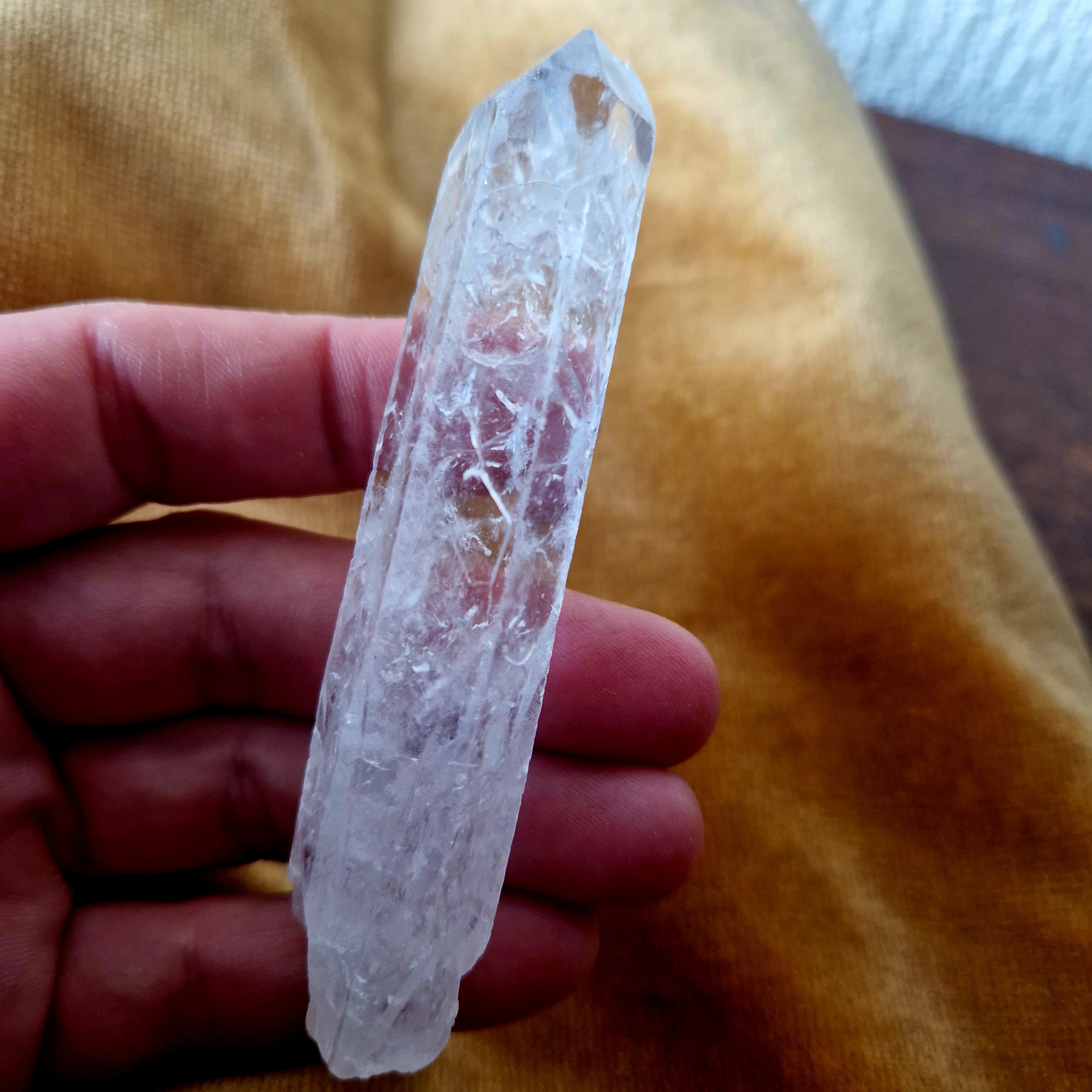 Lemurian punt nr 5
