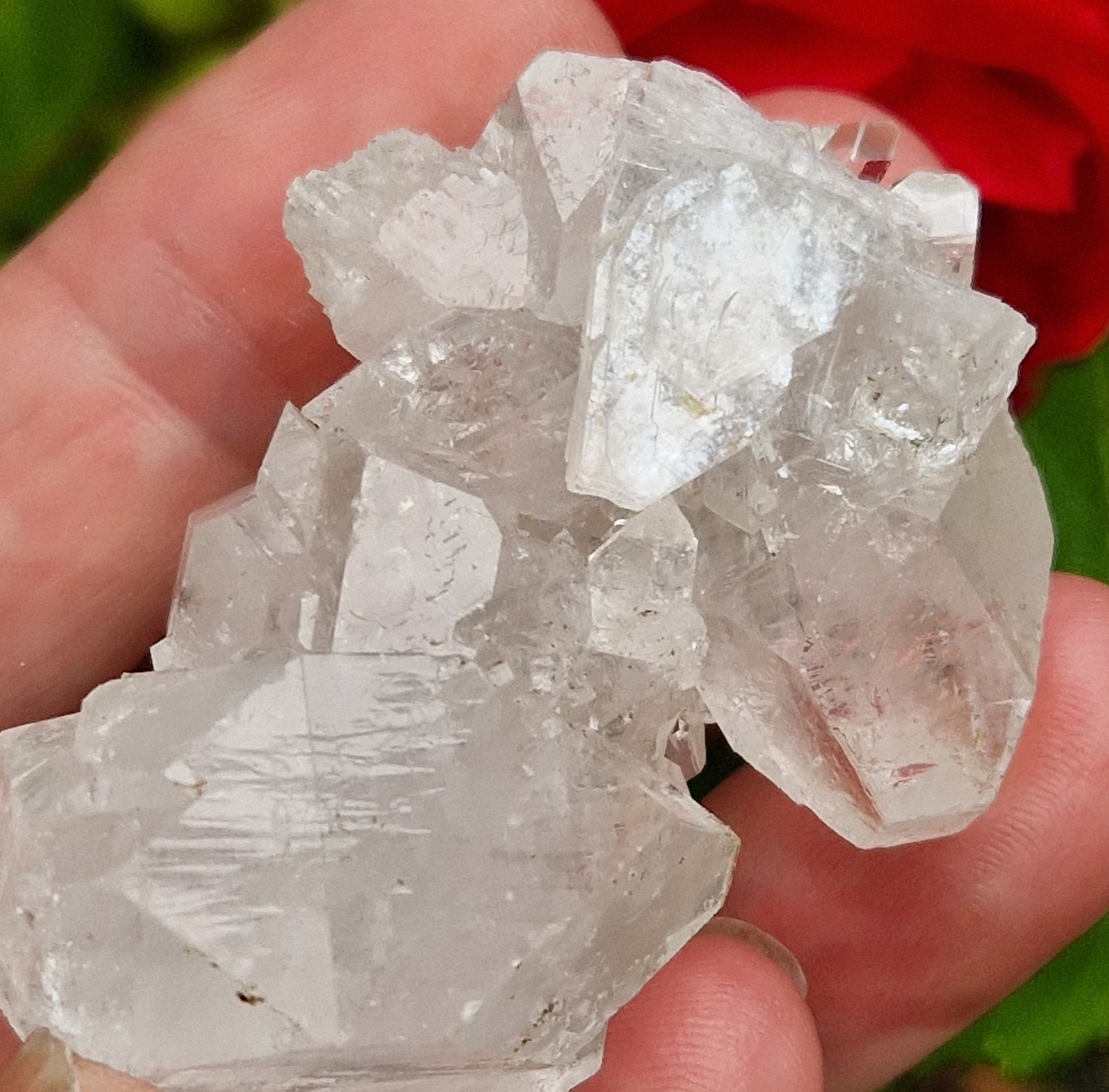 Spiegel apofyliet cluster