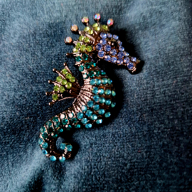 Zeepaard Broche