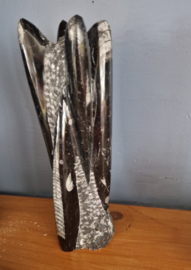 Orthoceras sculptuur 1054 gram