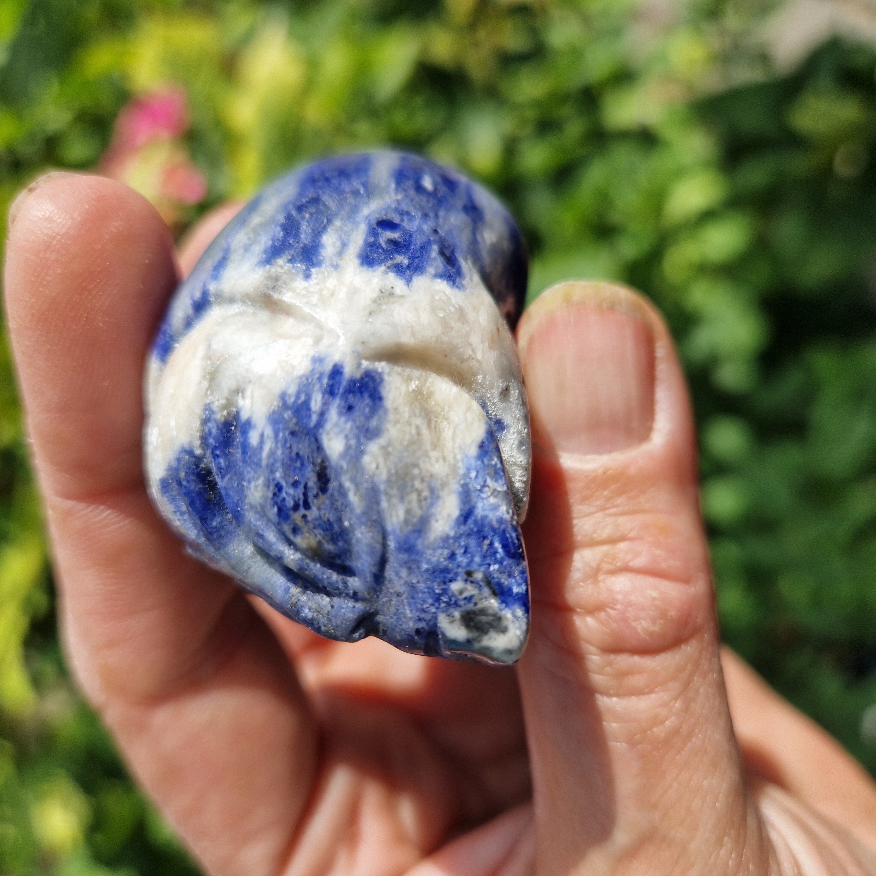 Starbeing Sodaliet