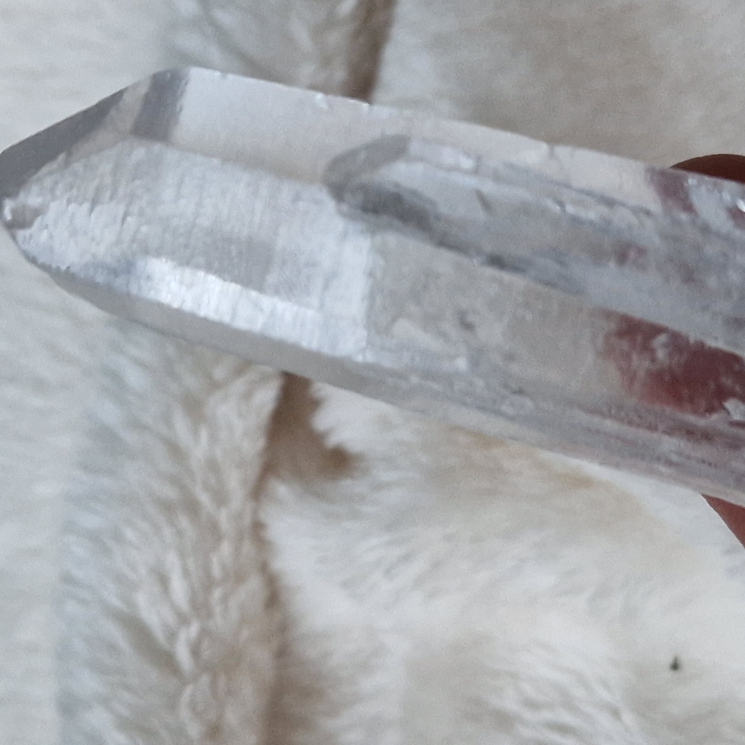 Lemurian punt nr 2