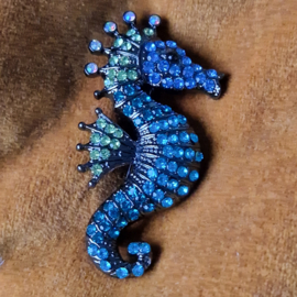 Zeepaard Broche