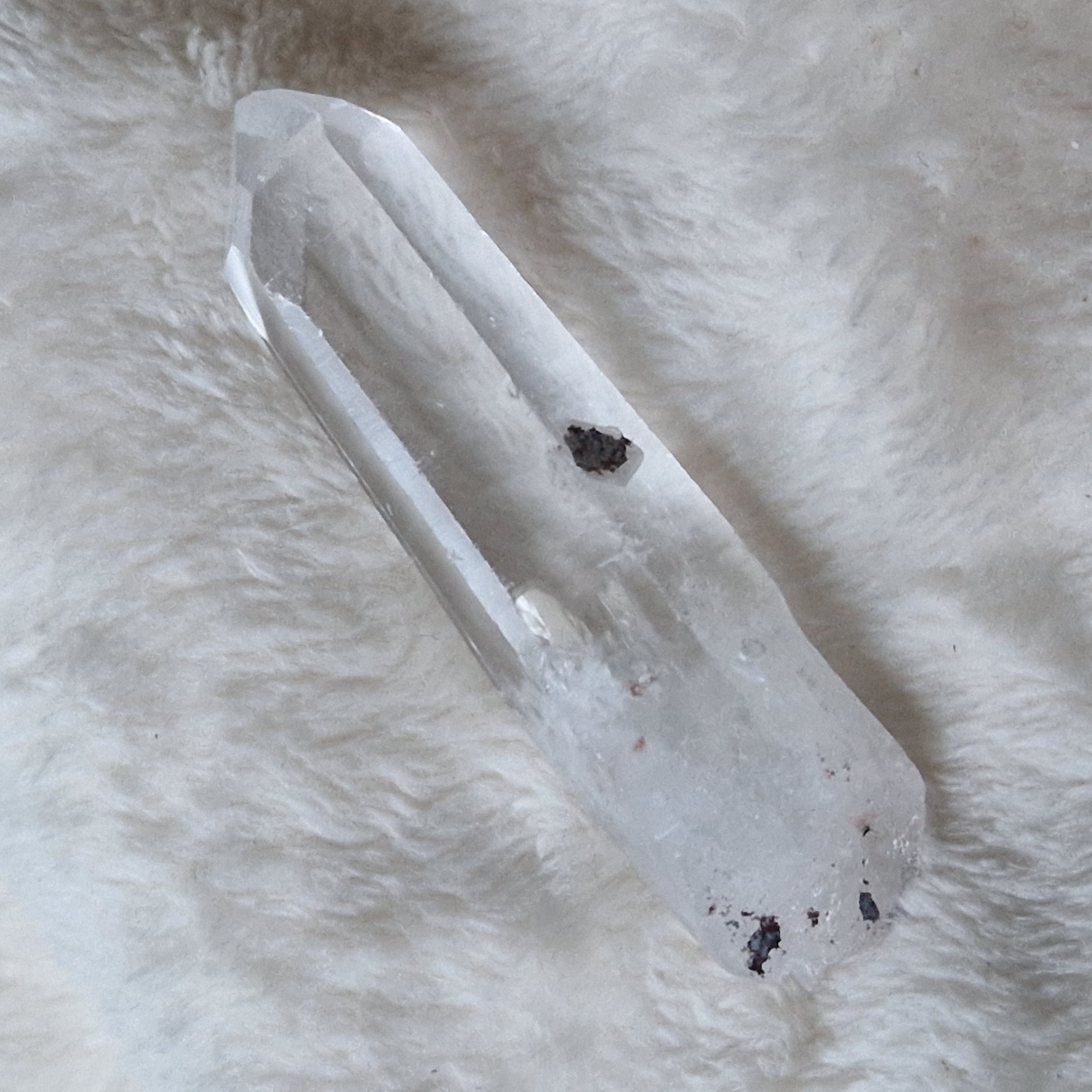 Lemurian punt nr 1