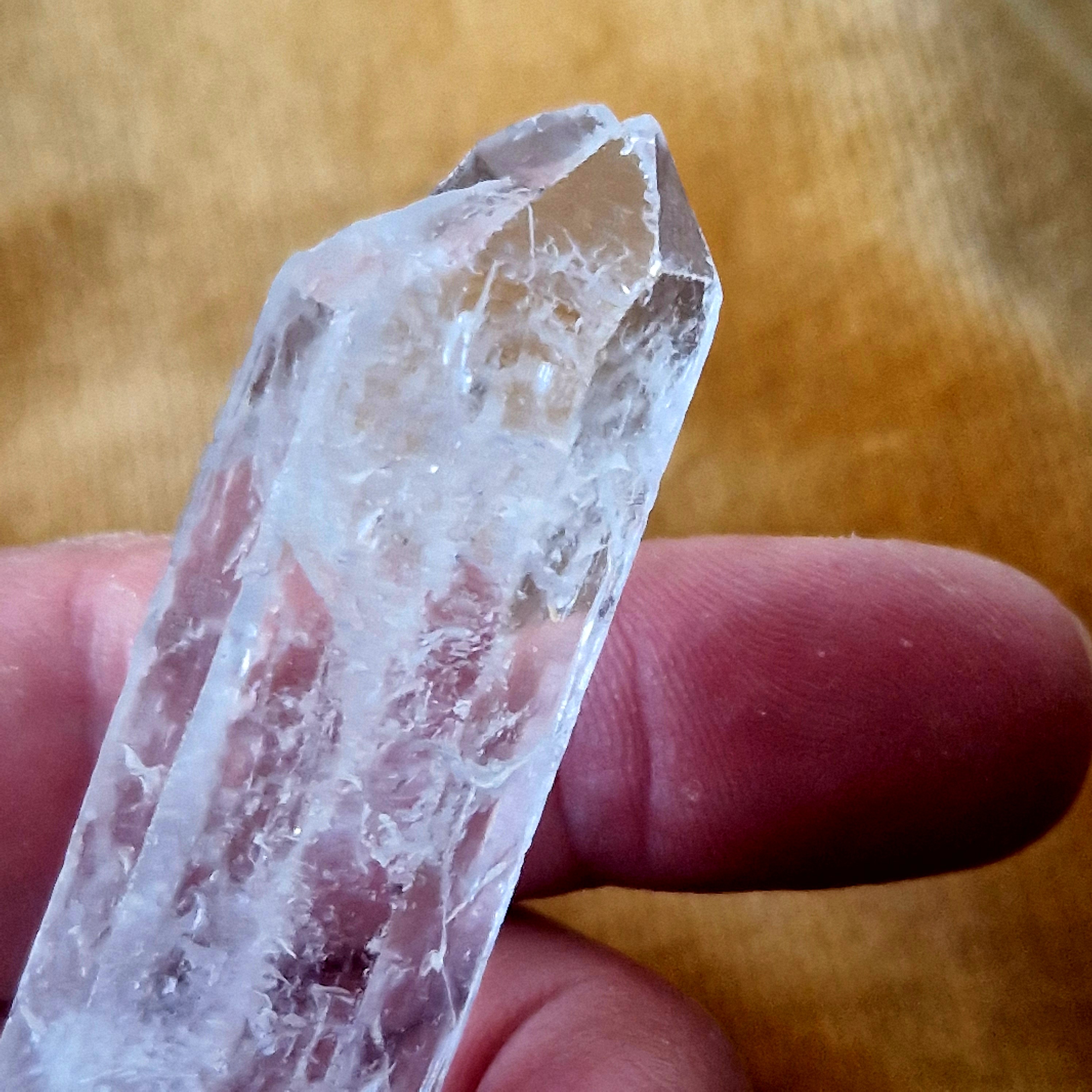 Lemurian punt nr 5
