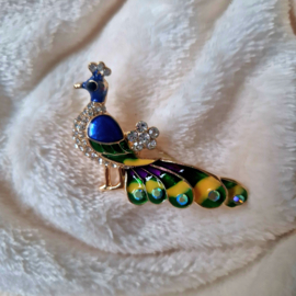 Pauw broche