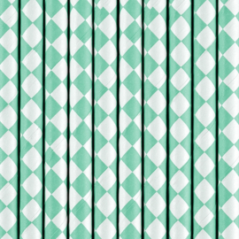 Papieren Rietjes Chevron Mint