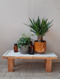 Lage stoere tafel | plantentafel