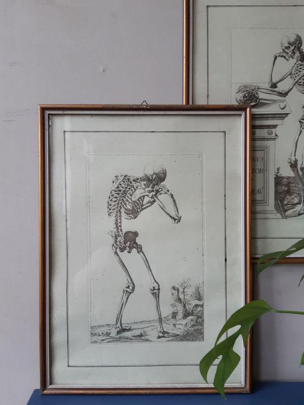 Vintage pentekening skelet