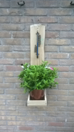 Thermometer plantenbakje