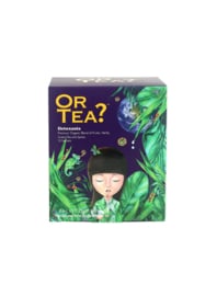 Detoxania |Biologische Groene thee met kruiden en fruit | 25g/ 10 zakjes