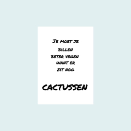 Ansichtkaart | Cactussen