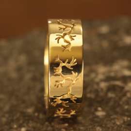 Gouden Ring 0180