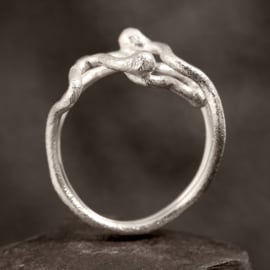 Zilveren ring    01727