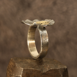 Zilver/gouden ring 01531