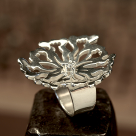 Zilveren ring     026043