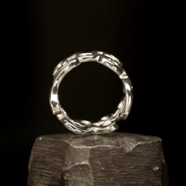 Zilveren ring.  01615