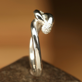 zilveren ring.   02326