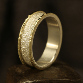Gereserveerd Zilver / Gouden ring 1328