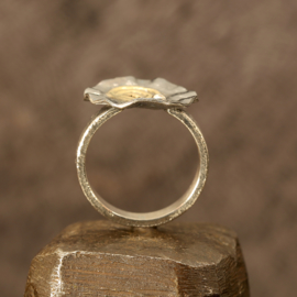 Zilver/gouden ring 01531