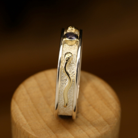 Zilver/gouden ring    024070