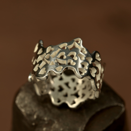 Zilveren ring        026042