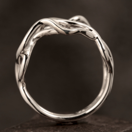 Zilveren ring    01725