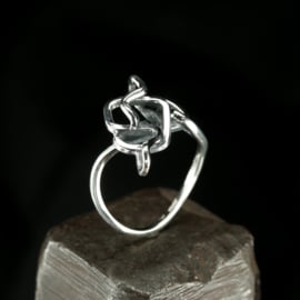 Zilveren ring 01562