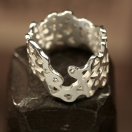 Zilveren ring        026042