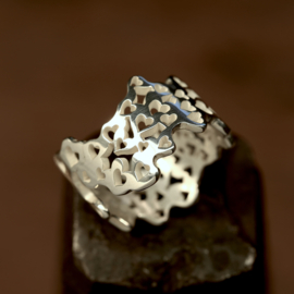 Zilveren ring        026042
