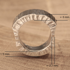 Zilveren ring 0025