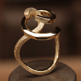 Gouden ring  0645