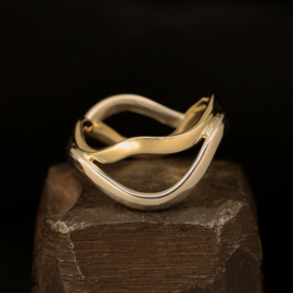 zilver gouden ring 01570