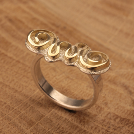 Zilveren / Gouden ring 0041 