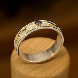 Zilver/gouden ring    024070