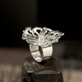 Zilveren ring     026043