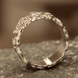 Wit Gouden Ring 0170