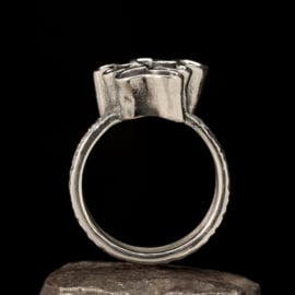 Zilveren ring.  01612