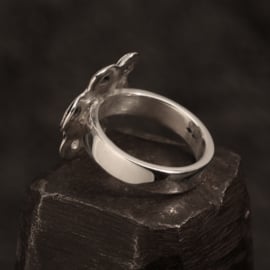 Zilveren ring.   01723