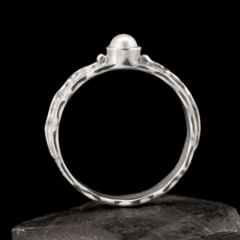 Zilveren ring    02307