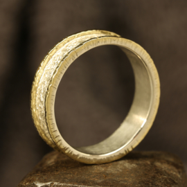 Gereserveerd Zilver / Gouden ring 1328