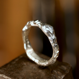 Zilveren ring.   02325