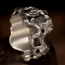 Zilveren ring  01622