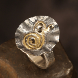 Zilver/gouden ring 01531