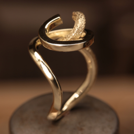 Gouden ring  0645