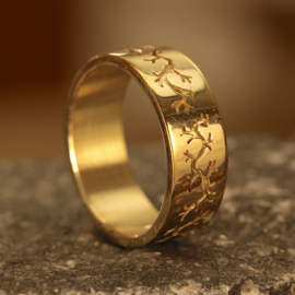 Gouden Ring 0180