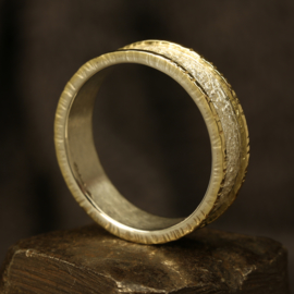 Gereserveerd Zilver / Gouden ring 1328