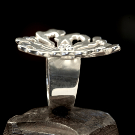 Zilveren ring     026043