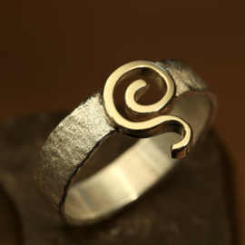 Zilver / gouden ring      026045